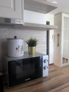 Η κουζίνα ή μικρή κουζίνα στο Apartman Borovi 14