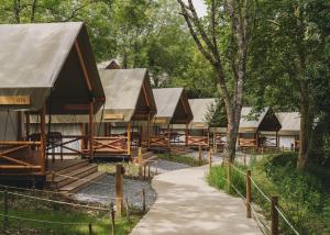 圣塞瓦斯蒂安Wecamp San Sebastián的公园里一排树木的木屋