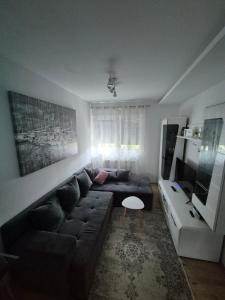 TV a/nebo společenská místnost v ubytování Best apartman
