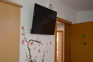 TV a/nebo společenská místnost v ubytování Farm Stay Zevnik