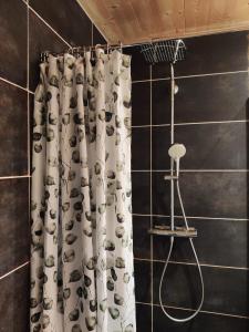 a shower with a shower curtain in a bathroom at l'appartement montagnard d'Estelle 4-6 personnes in Lanslebourg-Mont-Cenis +18 photos