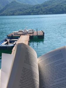 Gallery image of Dušanov Zaliv - Perućac in Skelani +42 photos