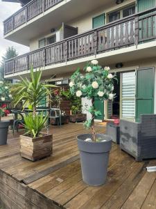 a patio with potted plants on a wooden deck at Belle Vue de St Gervais in Saint-Gervais-les-Bains +10 photos