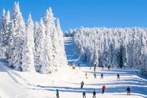 a group of people skiing down a snow covered slope at 2 Lake Cabins Poolhottub Game Room & Courts in Highland Lake +128 photos