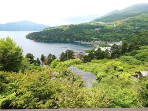 a view of a body of water from a hill at Chalet Itomic M - Mountain view - in Hakone +70 photos