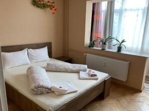 Postel nebo postele na pokoji v ubytování Апартаменти Viviana