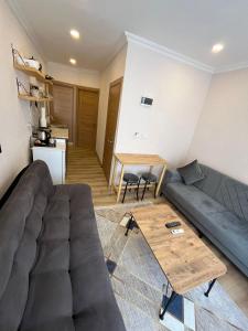 Kuchyň nebo kuchyňský kout v ubytování Dila Apart Hotel