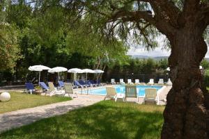 a pool with chairs and umbrellas next to a tree at Saphira by Penta Dream House in Campofelice di Roccella