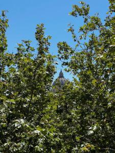 a view of a building through the tops of trees at Doria home-Saint Peter's View in Rome