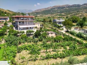 an aerial view of a farm with trees and houses at Toma's Guest House in Sarandë