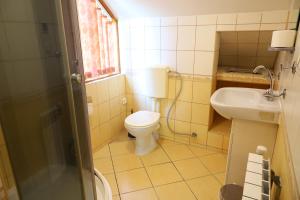 a small bathroom with a toilet and a sink at Willa Jodełka in Majdan Sopocki +28 photos
