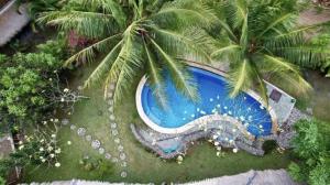 an overhead view of a swimming pool with a palm tree at 360 Surf Lodge in Kuta Lombok