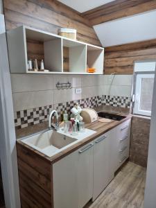 Kuchyň nebo kuchyňský kout v ubytování Nana Apartmani