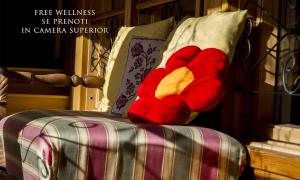 Gallery image of Hotel Al Pelmo Wellness in Pieve di Cadore