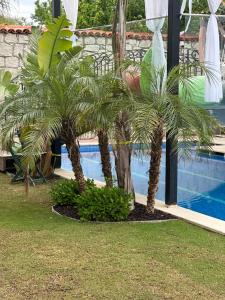 two palm trees in front of a swimming pool at Grand Alaçatı Butik Hotel in Alaçatı