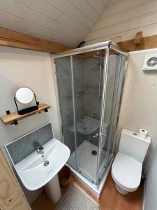 a bathroom with a shower and a toilet and a sink at The Barn Mid Bedfordshire in Haynes +16 photos
