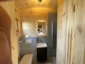 a bathroom with a sink in a wooden cabin at Tinyhaus Kirsch in Mehring
