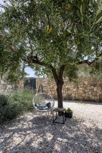 Zahrada ubytování Villa Bosilen with private pool, near Trogir, Split airport, quiet area, family villa
