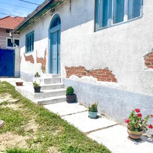 Una casa con una porta blu e alcune piante in vaso di Blue Cottage a Şpring