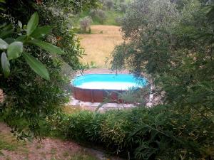 Bazén v ubytování B&B La Risorgiva nebo v jeho okolí
