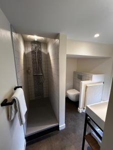 a bathroom with a shower and a toilet at H&ocirc;tel Saint-Julien in Angers