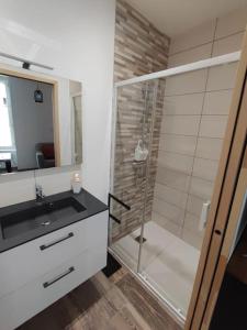 a bathroom with a glass shower and a sink at Appartement T1 centre-ville Beaupréau in Beaupréau