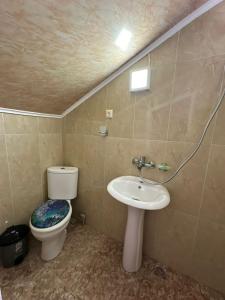 Koupelna v ubytování Shamil House