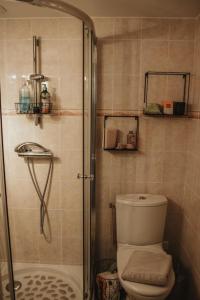 a small bathroom with a toilet and a shower at Petite maison cosy Chez Georges in Auxonne +28 photos