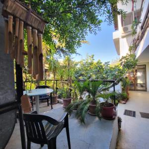 En have udenfor Hostel Varna Botanika