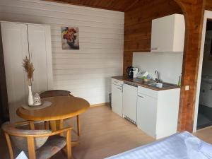 a small kitchen with a table and a counter top at ABB Sportcenter Gänsefurth, Doppelzimmer ohne Küche, Standard Doppelzimmer mit Küche in Hecklingen