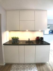 Kuchyň nebo kuchyňský kout v ubytování KAYA Apartments M07 - Deluxe Studio Apt in Old Town Zurich