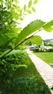 Zahrada ubytování Stylový vesnický apartmán v soukromí M. Skála Český Ráj