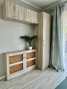 a room with a potted plant sitting on a cabinet at EASY RENT- Nice, Centrum, 24h Check-in in Lublin +11 photos