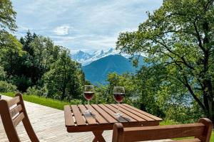 two glasses of wine sitting on a wooden table at Studio Le Nid Douillet in Passy