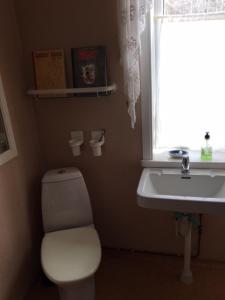 a bathroom with a toilet and a sink and a window at Stora Skedvi in Stora Skedvi
