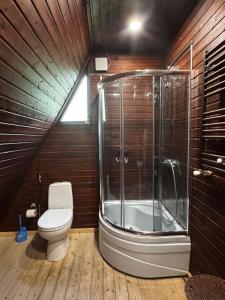 a bathroom with a toilet and a shower in a attic at Borjomi Cottage Sadgeri in Sadgeri