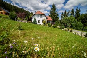 Příroda nedaleko apartmánu