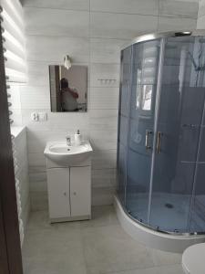 Un baño con ducha de cristal y lavabo. en Chruścielówka ap nr 1, en Tylicz