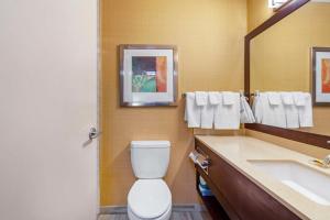 Koupelna v ubytování Best Western Plus Chateau Fort St. John