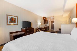 TV a/nebo společenská místnost v ubytování Best Western Plus Chateau Fort St. John