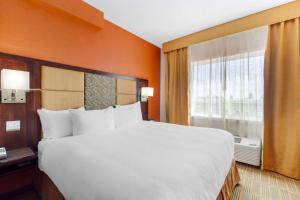 Postel nebo postele na pokoji v ubytování Best Western Plus Chateau Fort St. John
