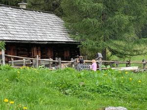 Příroda nedaleko bed and breakfast