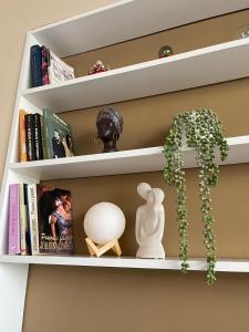 a book shelf with books and aotted plant on it at Edion Center Apartment in Shkodër