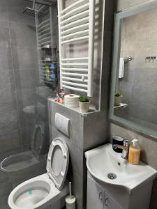 un piccolo bagno con un water e un lavandino di M2-apartments a Kraljevo
