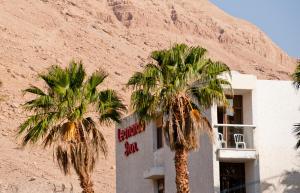 un bâtiment avec des palmiers en face d'une montagne dans l'établissement Leonardo Inn Hotel Dead Sea, à Ein Bokek