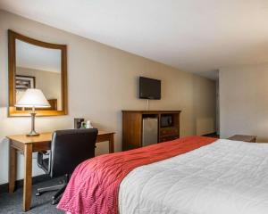Ein Bett oder Betten in einem Zimmer der Unterkunft Clarion Inn & Suites at the Outlets of Lake George