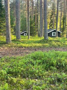 a cabin in the woods with trees and grass at Laahtanen camping in Ristijärvi