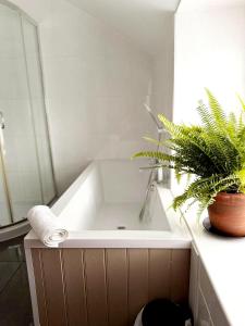 Billede fra billedgalleriet på 13 WinterSlow Cottage i St Ives + 16 billeder