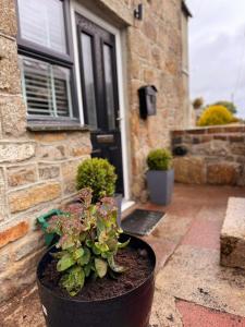 En have udenfor 13 WinterSlow Cottage