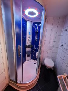 ドレスデンにあるFerienwohnung an der Dresdner Heide - Langebrückのシャワーとトイレ付きのバスルーム +3枚の写真